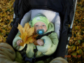 dscn5909