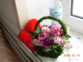 dscn2270