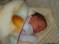 dscn2304