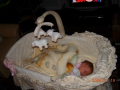 dscn2305