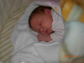 dscn2363
