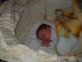 dscn2364