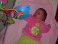 dscn2469