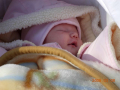 dscn2483