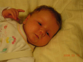 dscn2536