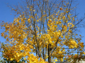 dscn6384