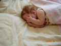 dscn3581