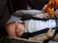 dscn4227