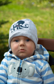 DSC_0497.jpg