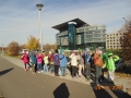 DSC00075 (Copy)